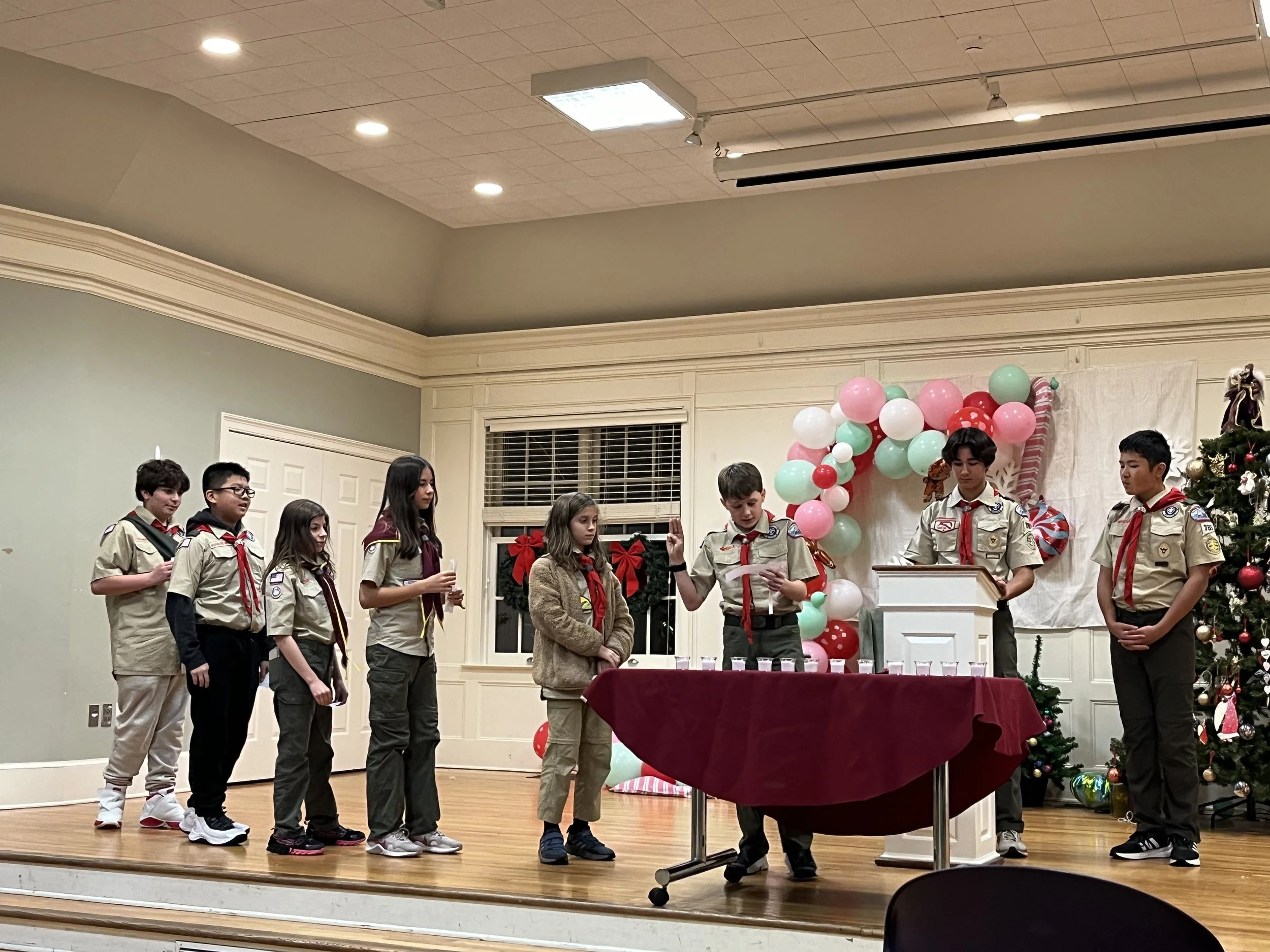 Biannual Court of Honors