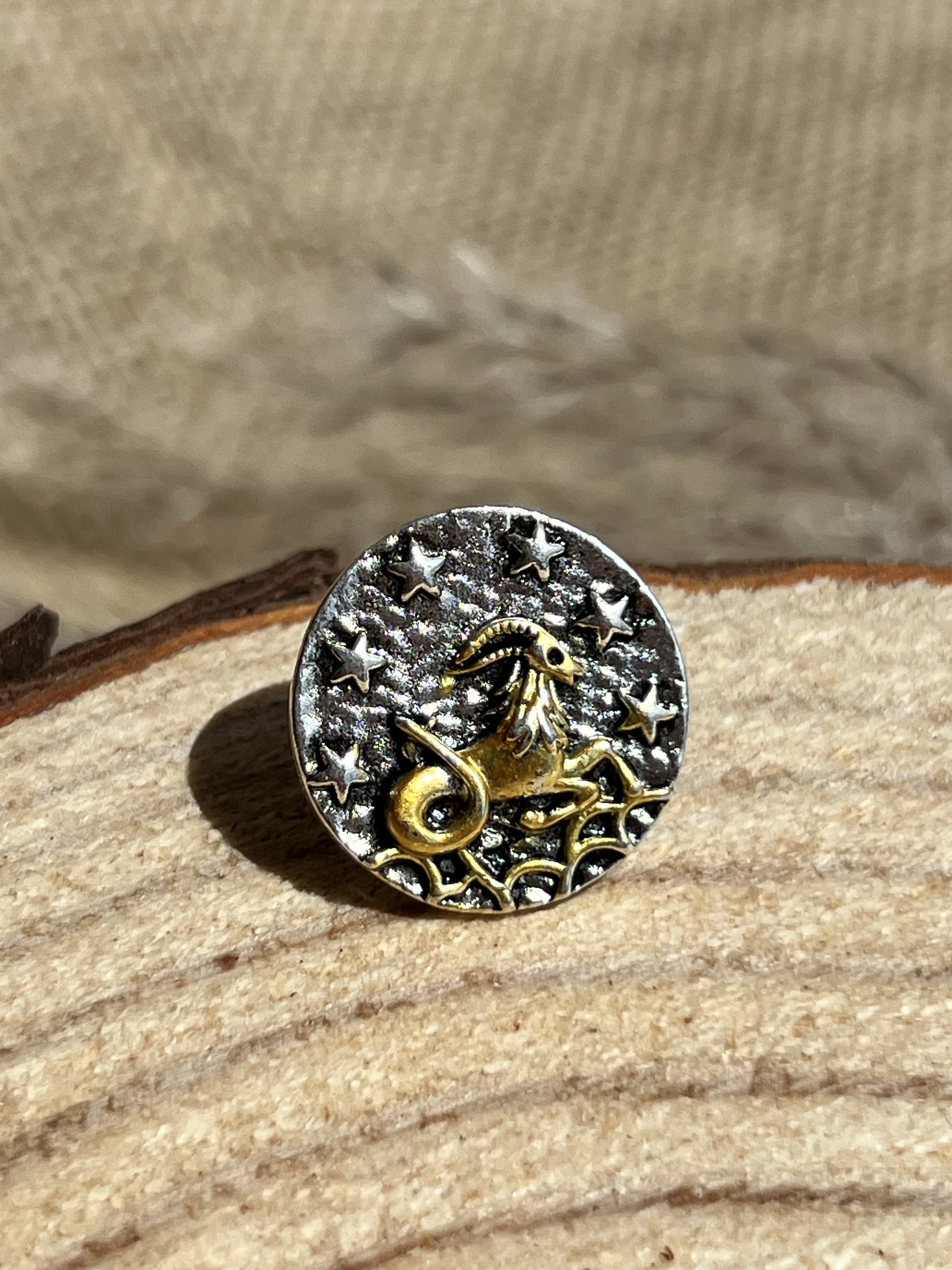 Antiquity Capricorn Pin
