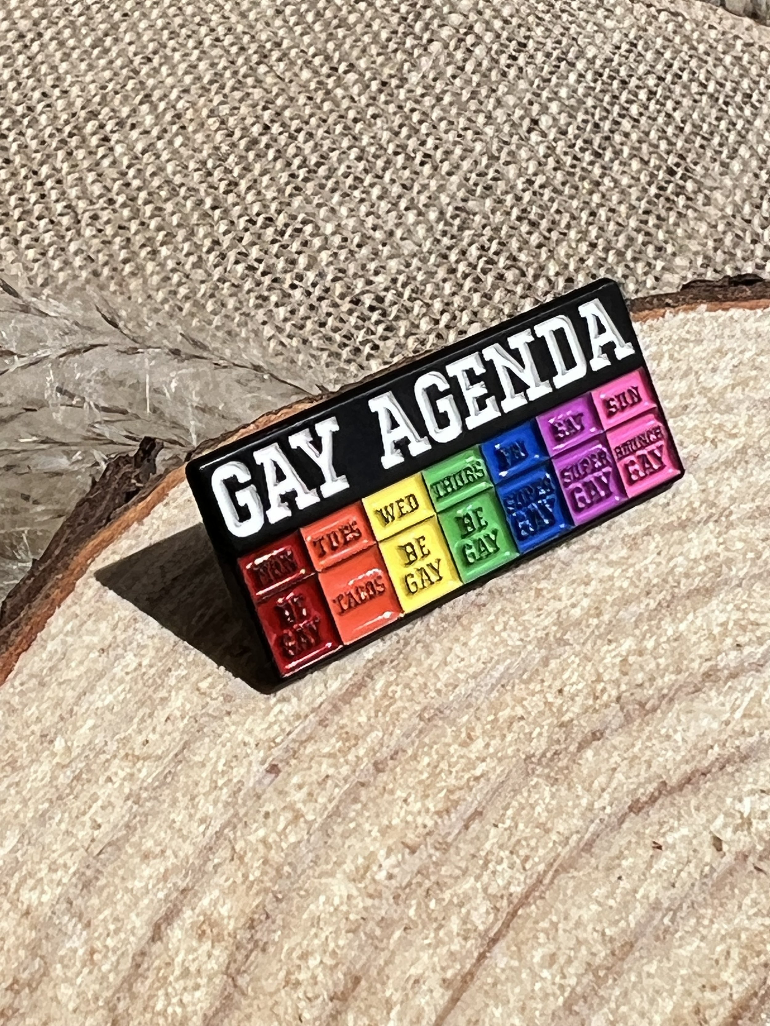 Gay Agenda Pin