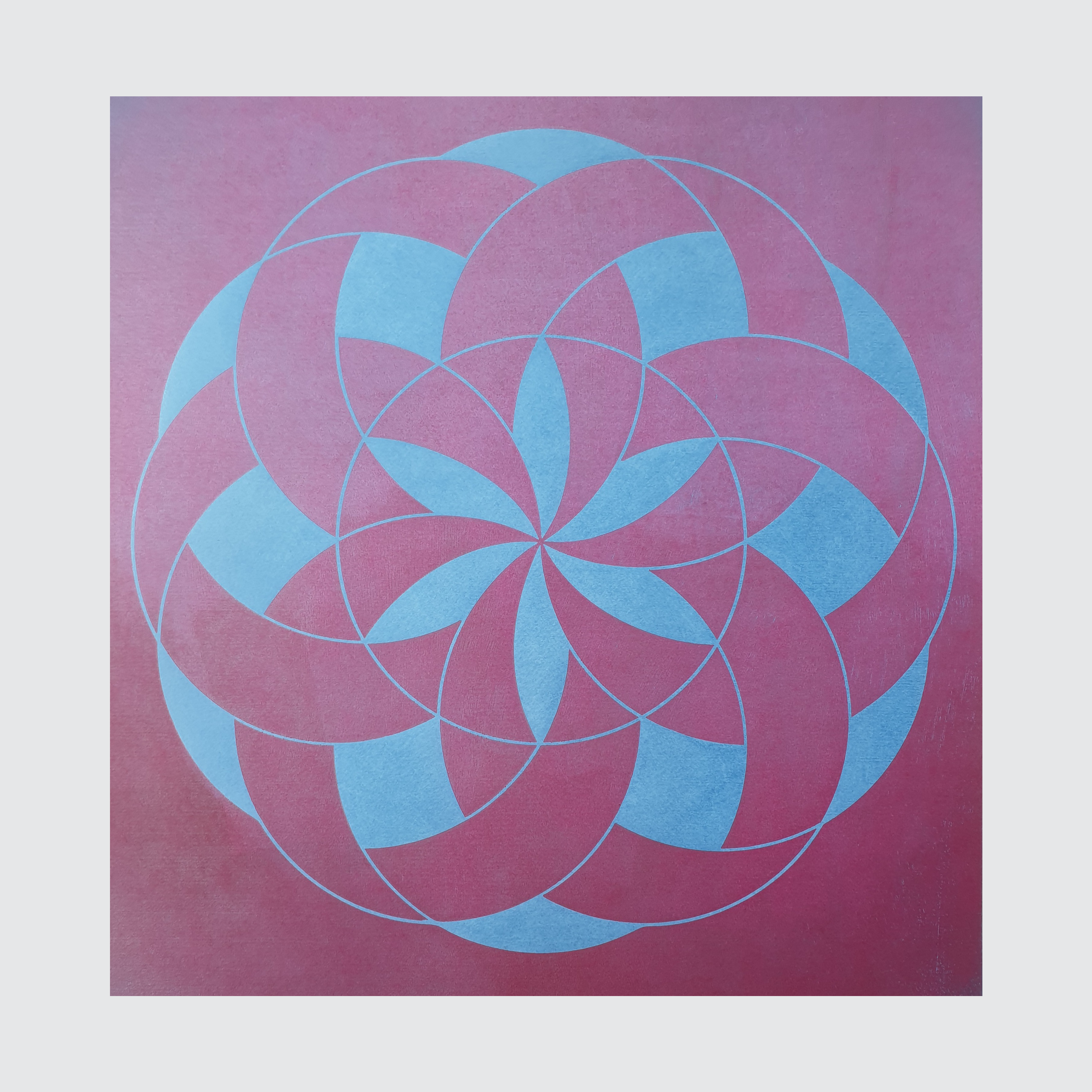 Etchilhampton Blue Rose Iridescent