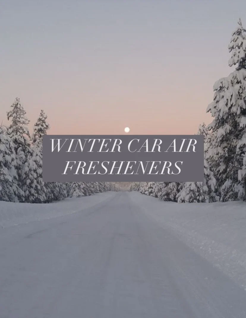 Winter Car Air Fresheners