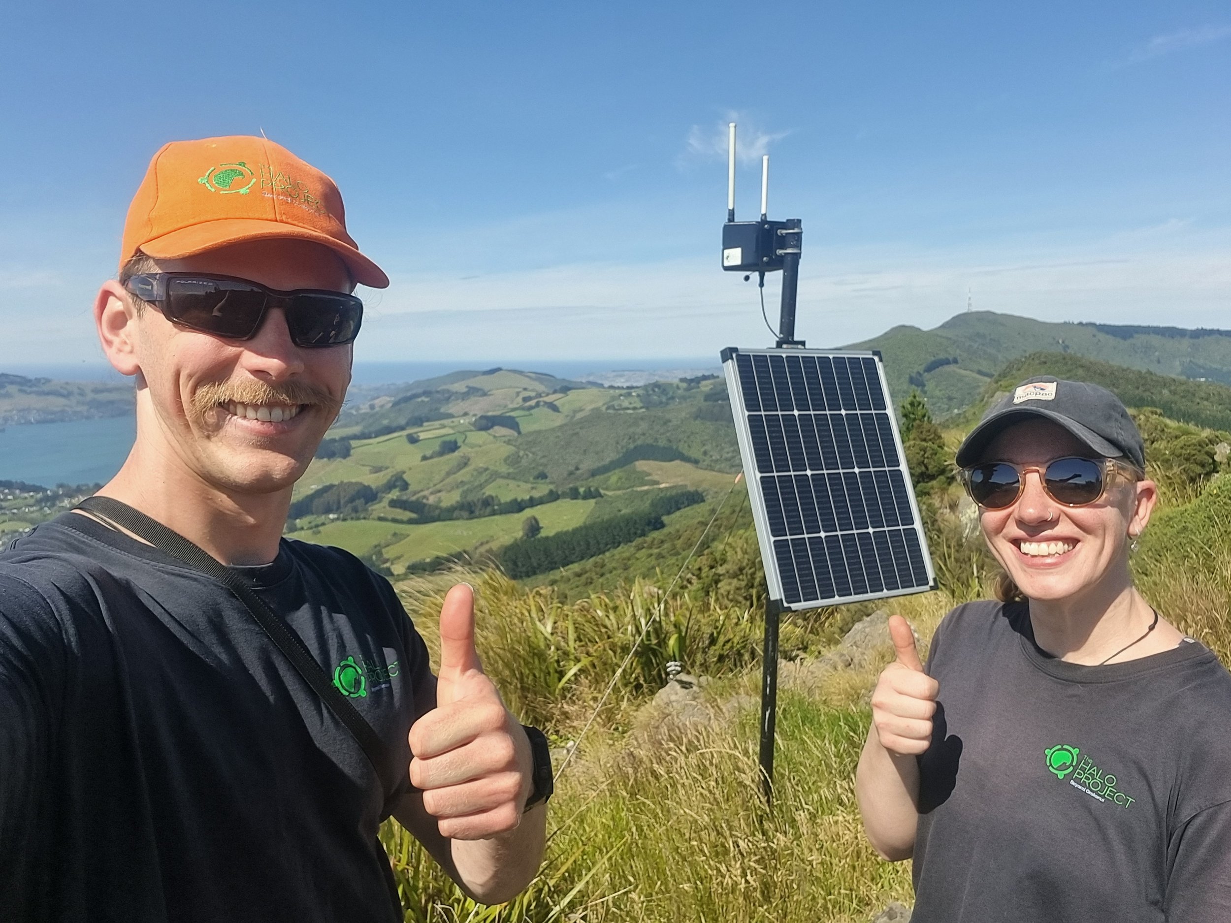 Technology, Trust and Taoka Species: Activating Halo’s FTP Network