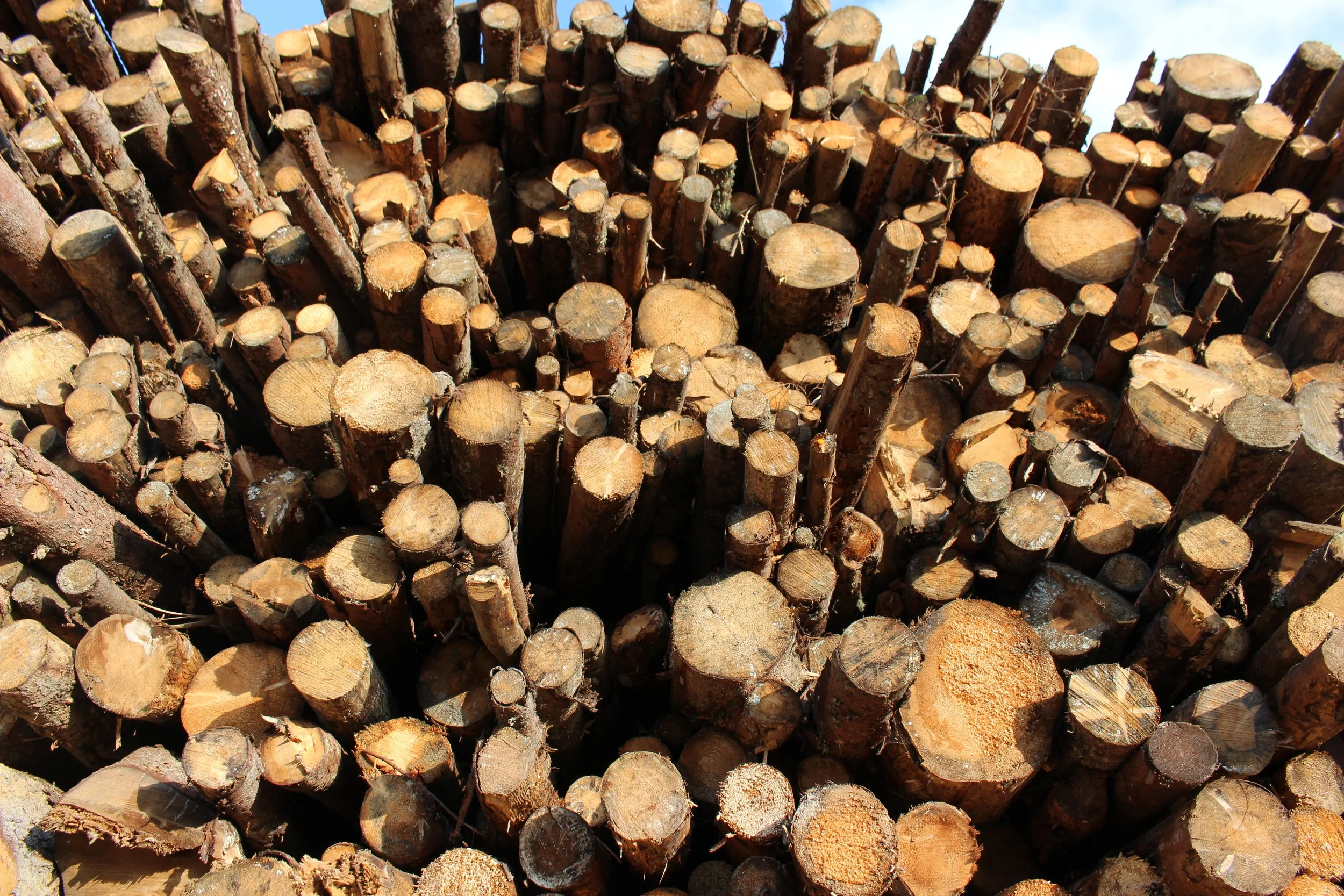 Decarbonisation That Actually Works Starts With Operations, Not Ambition