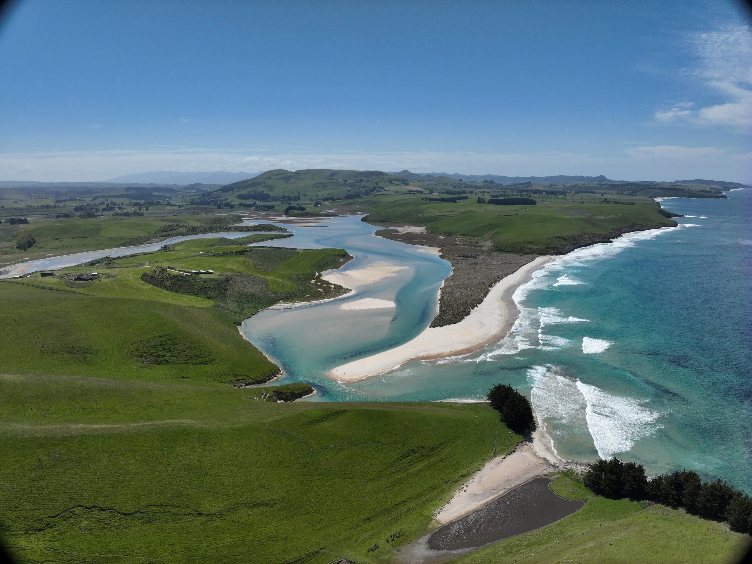 Toitū Te Hakapupu / Pleasant River Restoration Project&nbsp;