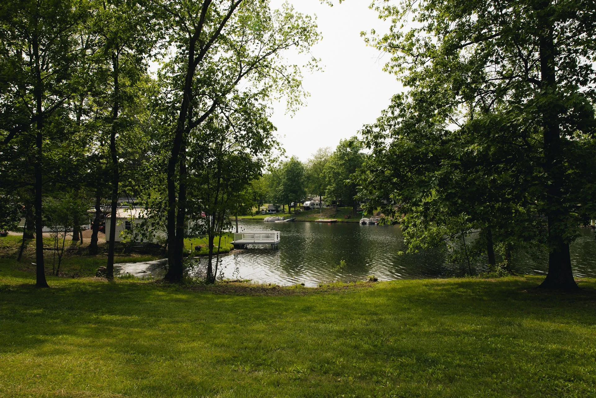 A peaceful lakeside scene surrounded by green trees with a bench overlooking the water.
