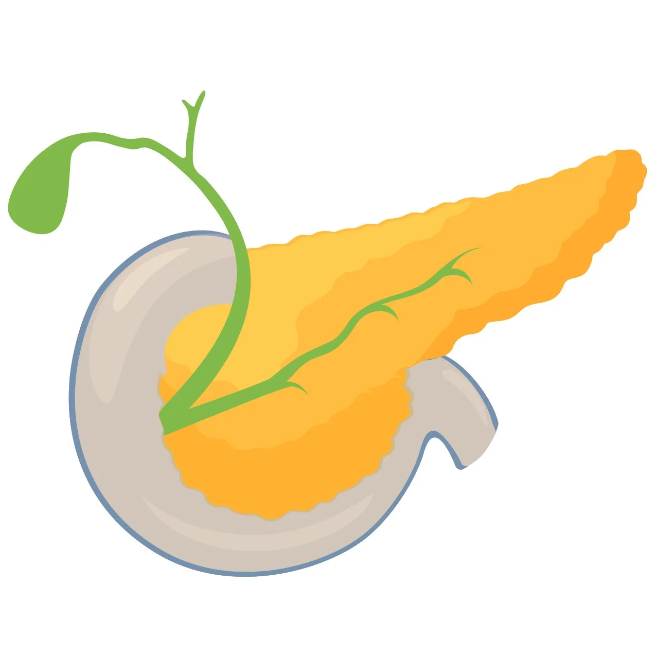 Pancreaticobiliary diseases Melbourne Gastroenterology Endoscopy Dr Shane Selvanderan