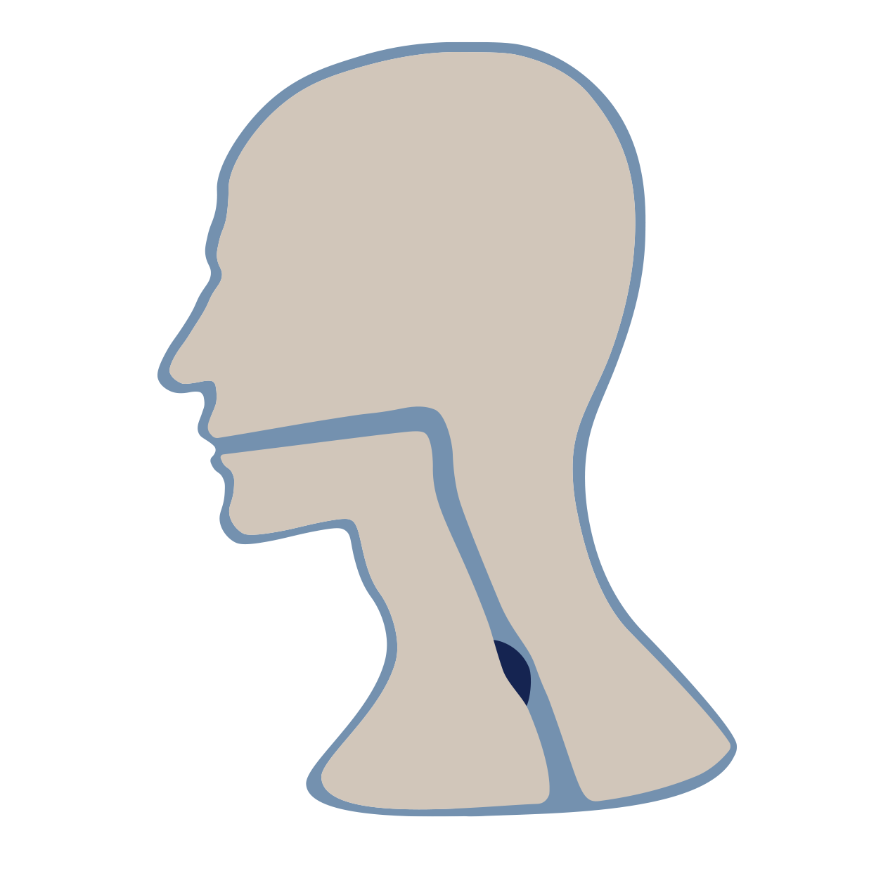 Swallowing disorders Treatment Melbourne Gastroenterology Endoscopy Dr Shane Selvanderan