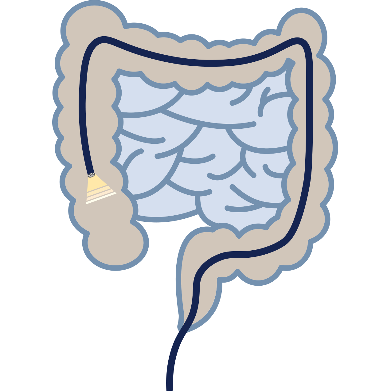 Colonoscopy services by Dr Shane Selvanderan Gastroenterology & Endoscopy in Melbourne