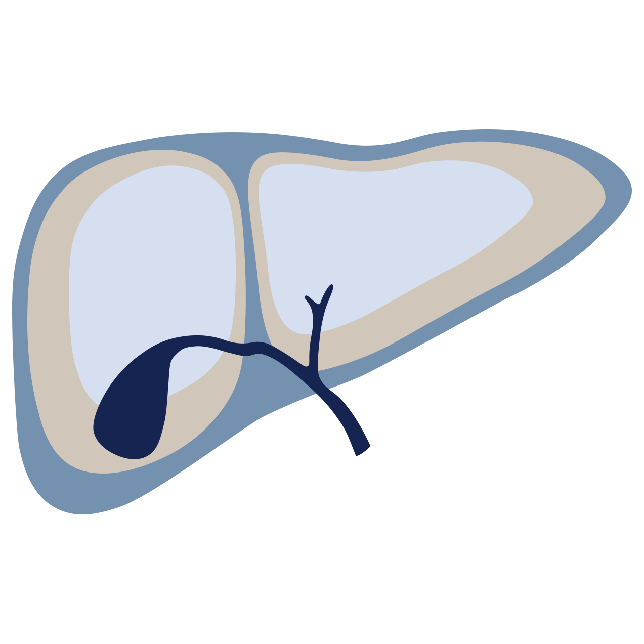 Treatments for Liver Disease Melbourne Gastroenterology Endoscopy Dr Shane Selvanderan