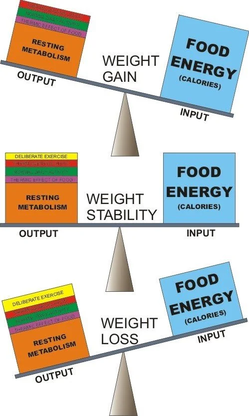 Sustainable Nutrition: Building Long-Term Healthy Eating Habits