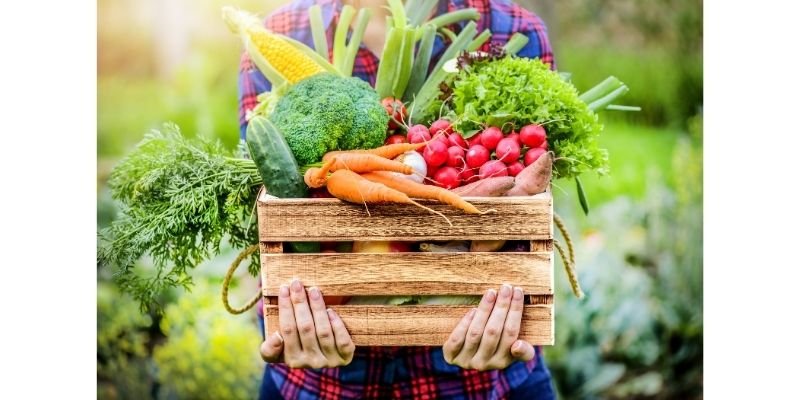 Food Rules - Eating Made Simple