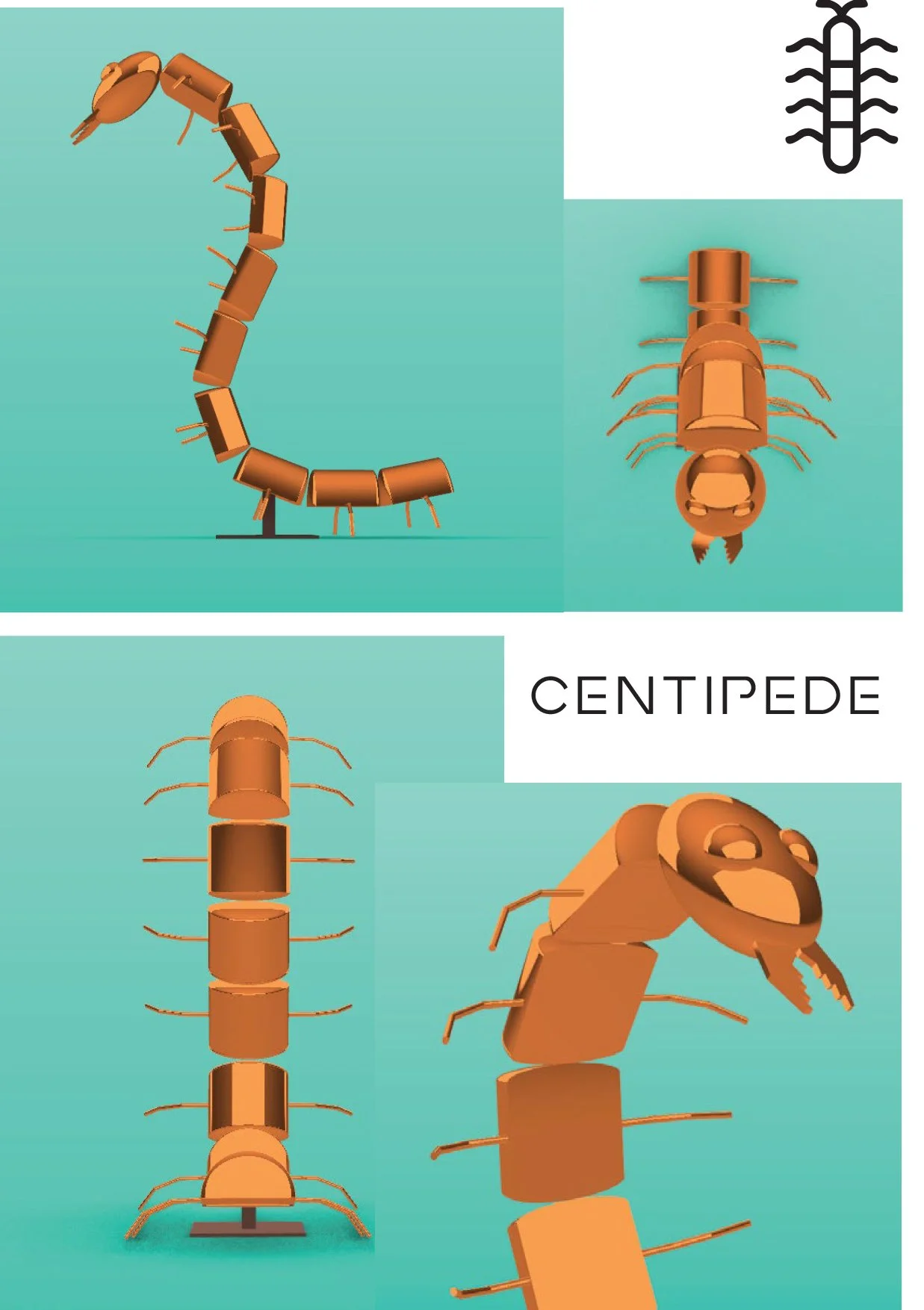 Kirk Seese Centepede Proposal-3.jpg