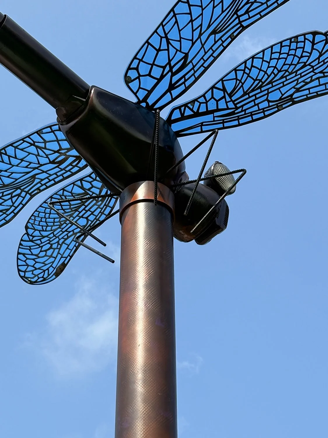 Kirk Seese Dragonfly