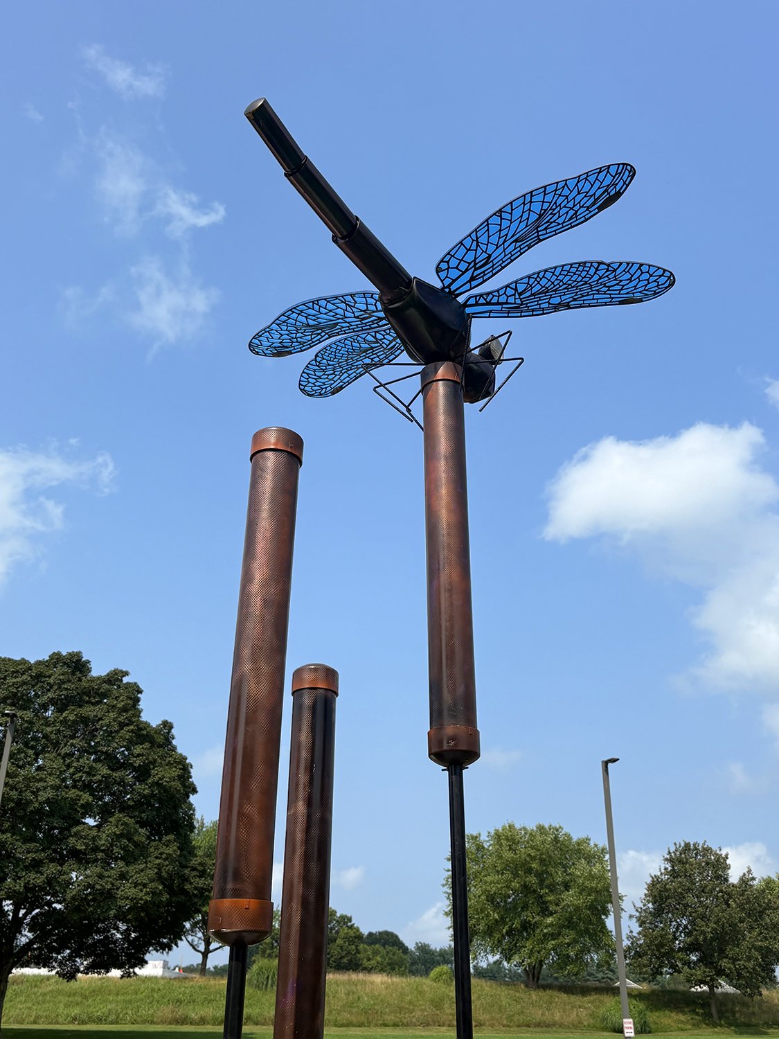 Kirk Seese Dragonfly