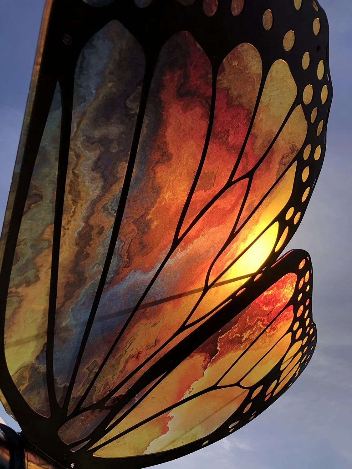Butterfly 04.jpg