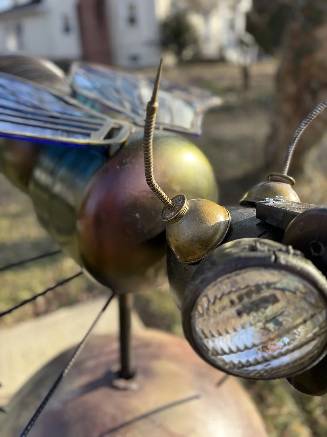 Lutherville, MD Astra Apis 2026-2027