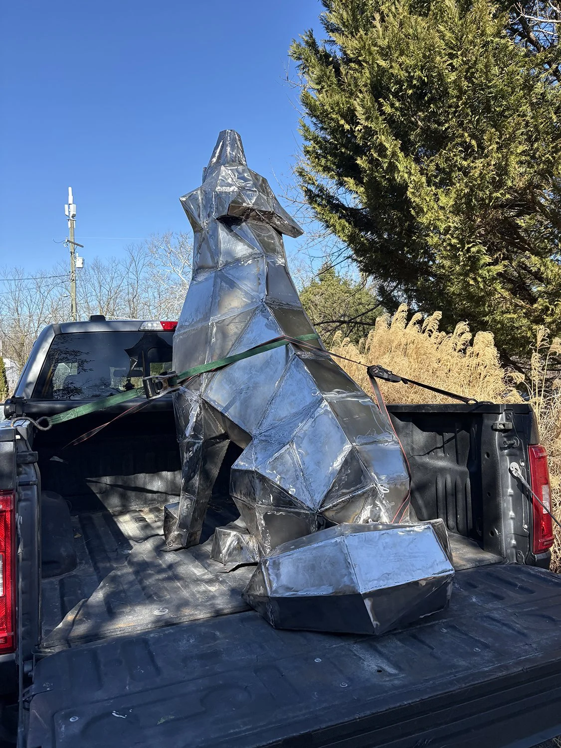 Koda the Wolf going for a ride