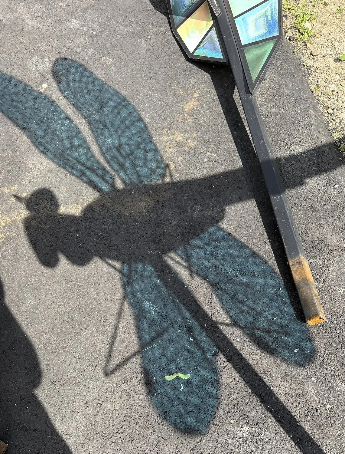 Dragonfly in progress 05.jpg