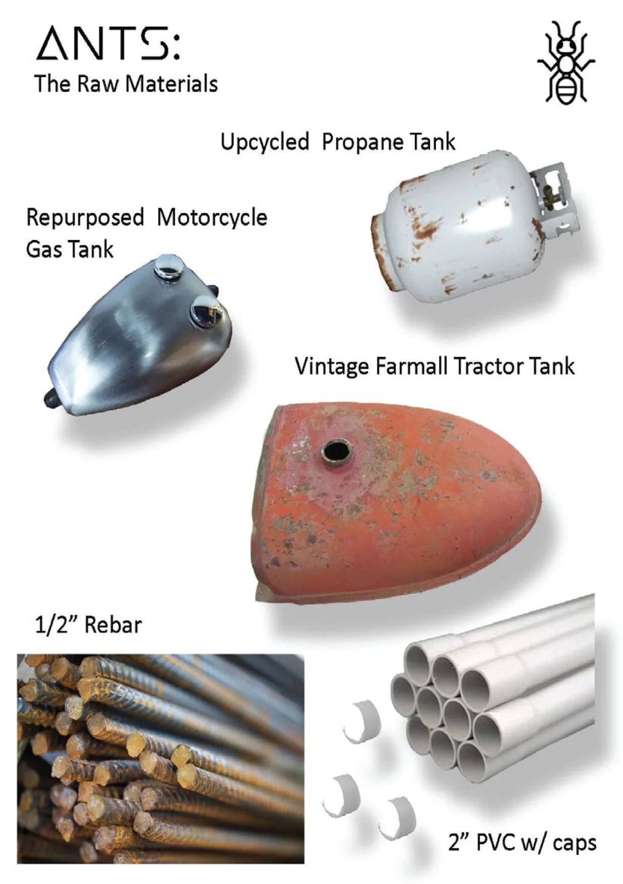 Kirk Seese Ants Proposal-2.jpg