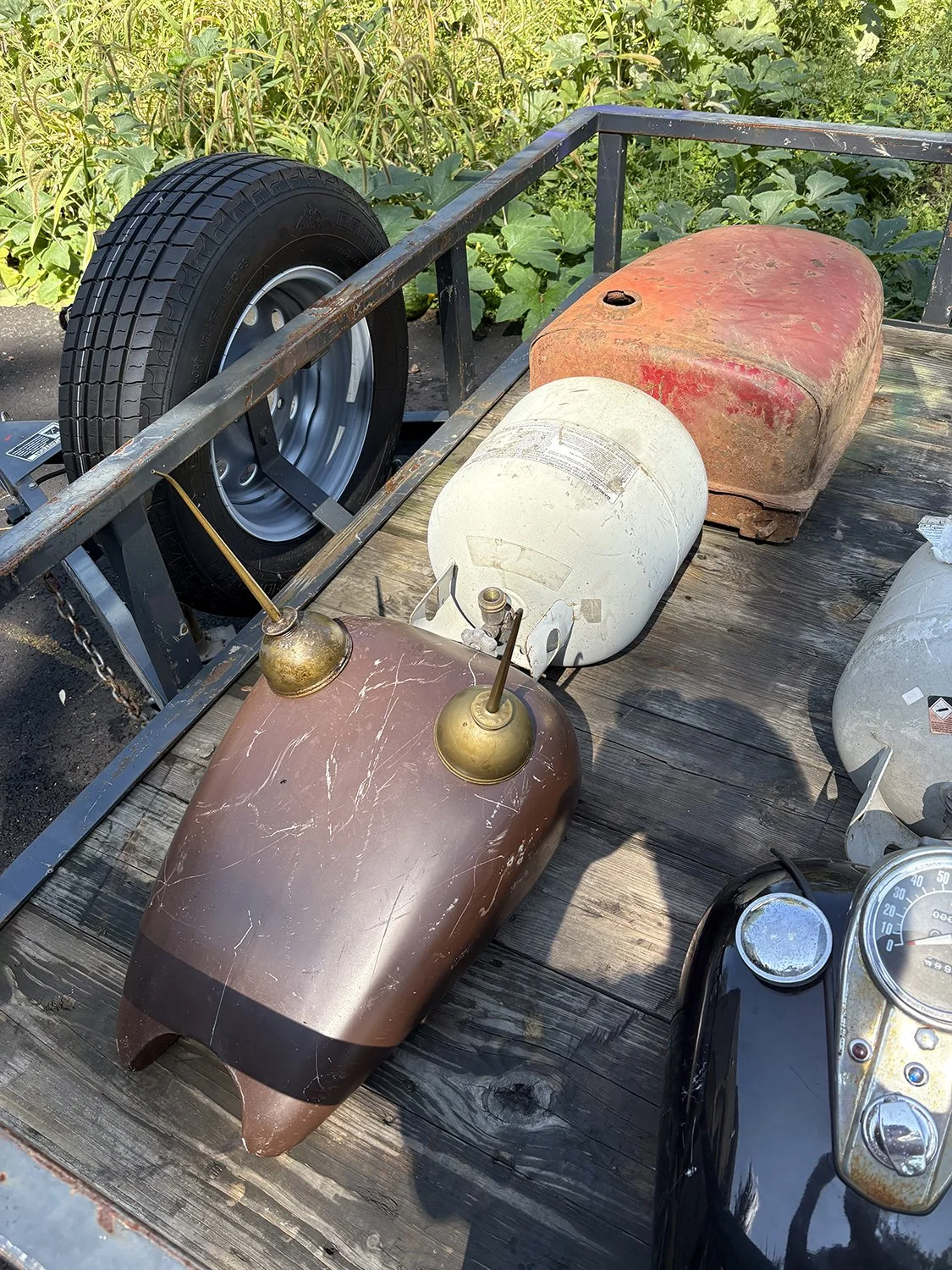 Kirk Seese Mining Ant