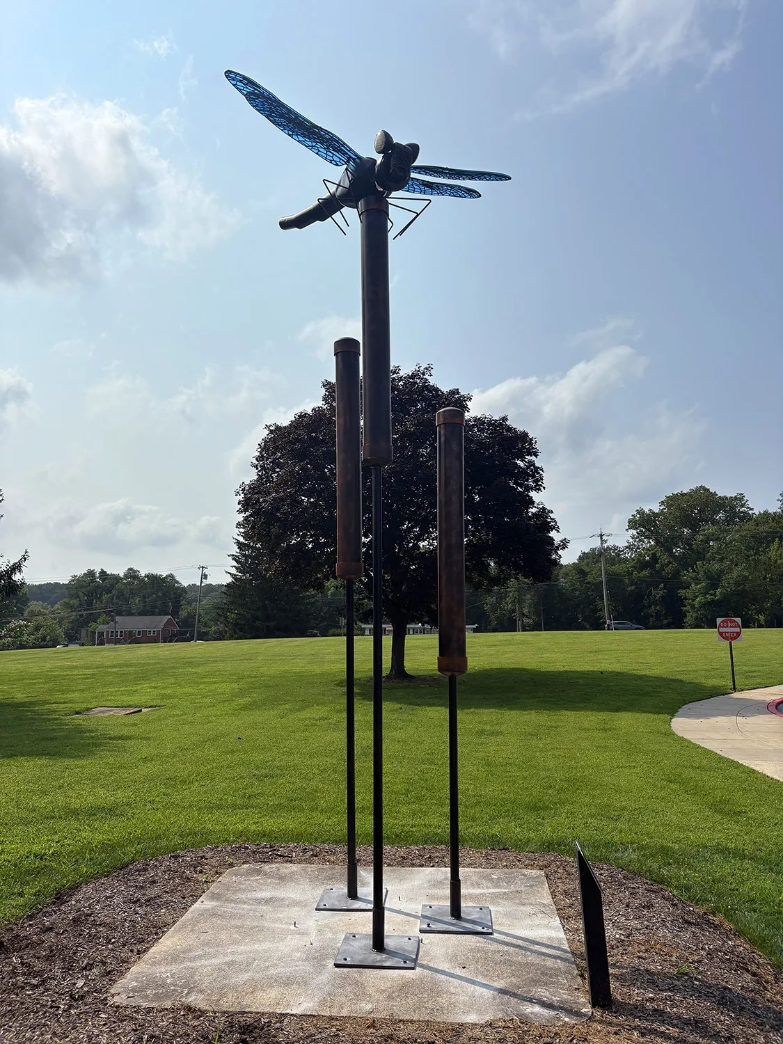 Kirk Seese Dragonfly