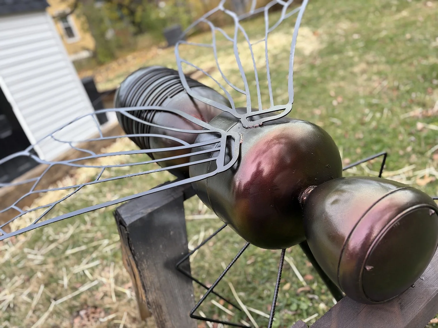 Kirk Seese Astra Apis