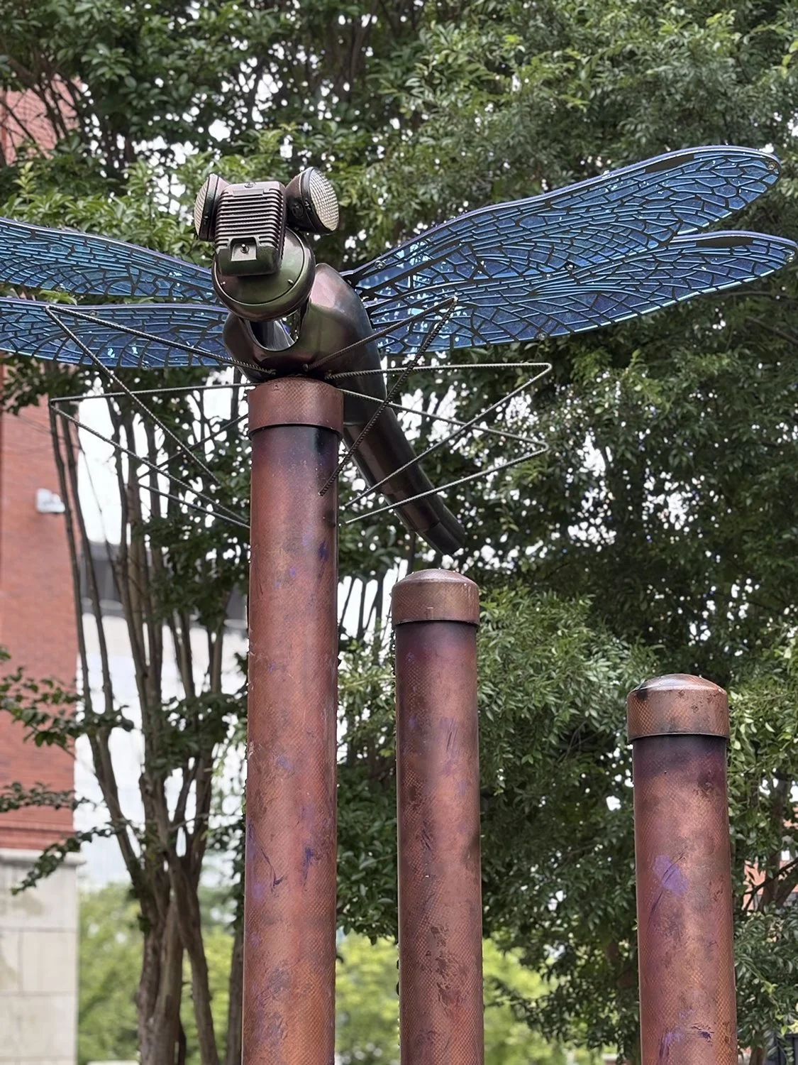 Roanoke, VA Dragonfly 05.jpg