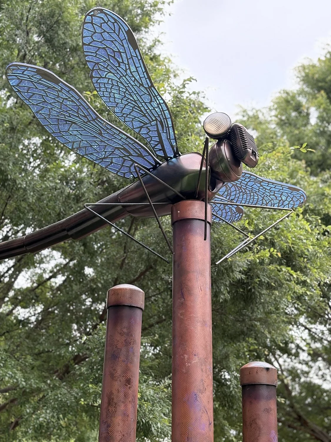 Roanoke, VA Dragonfly 02.jpg
