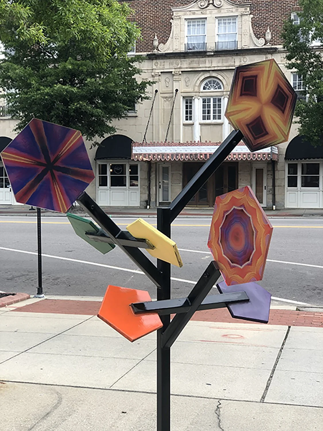 Fayetteville NC Tree Branches 01.jpg