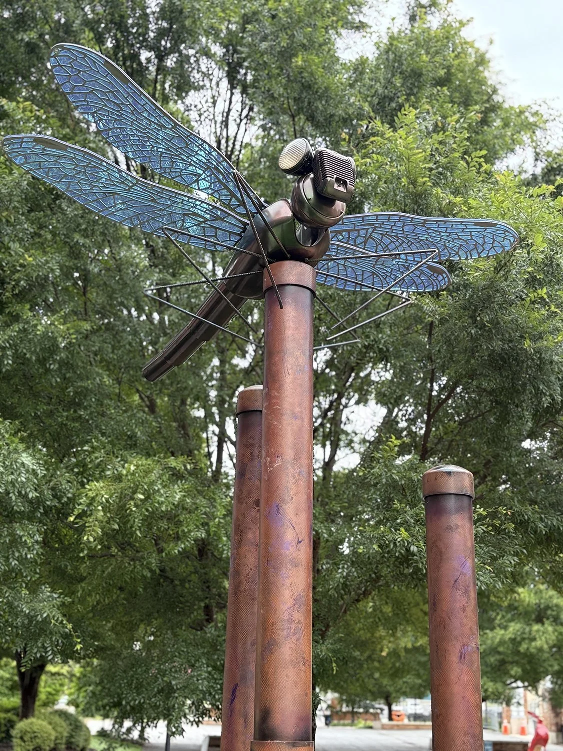 Roanoke, VA Dragonfly 03.jpg