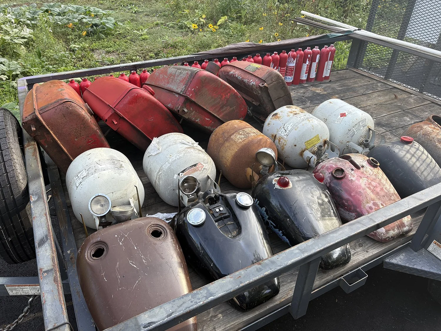 Kirk Seese Mining Ant