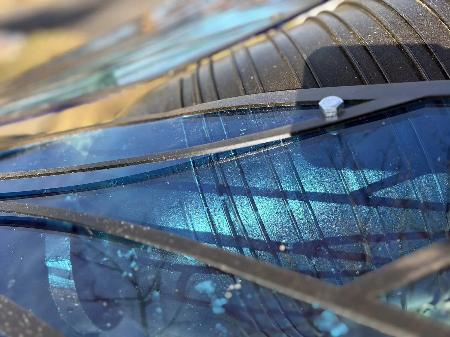 Lutherville, MD Astra Apis 2026-2027