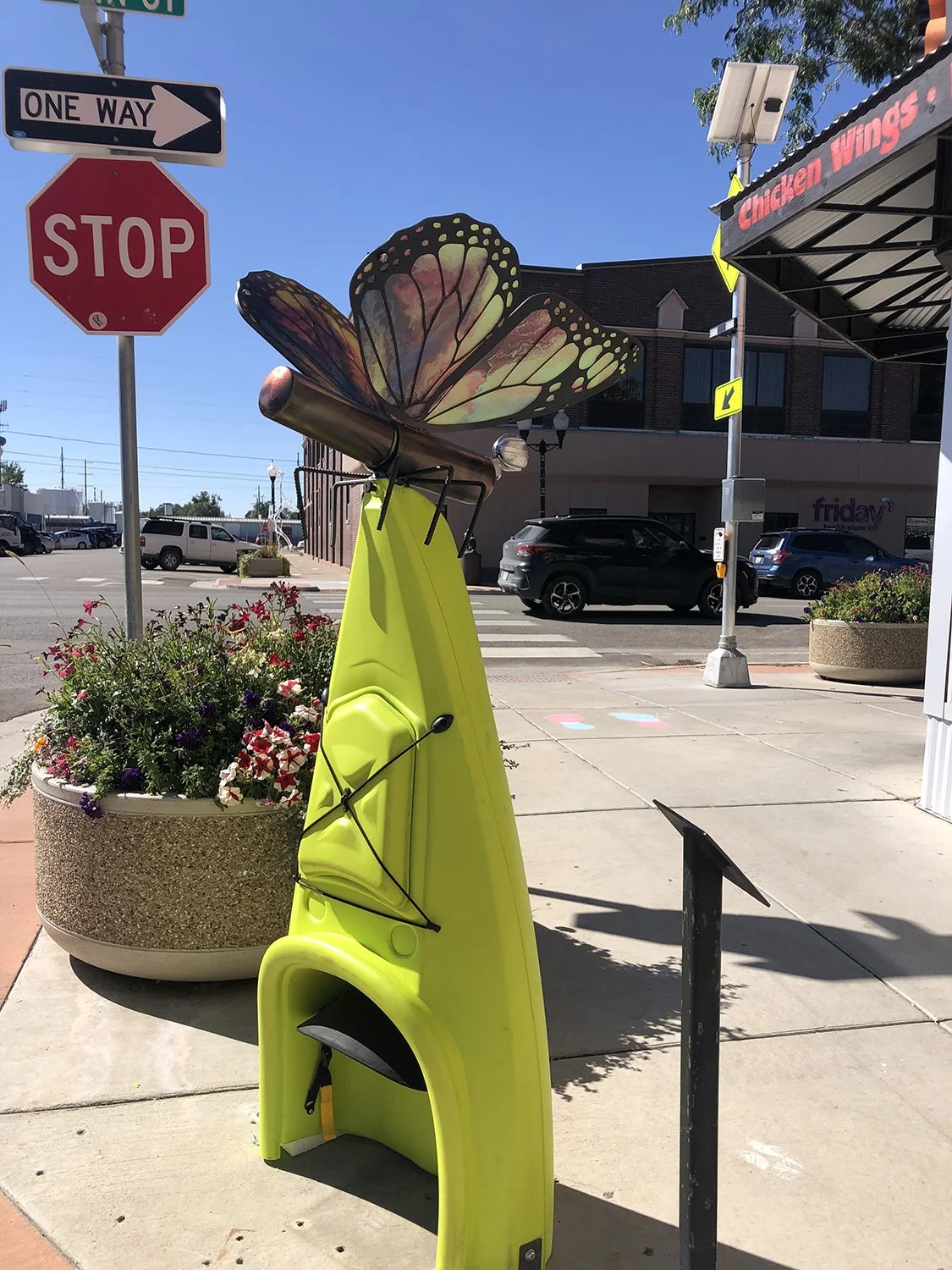 Pollinator Alamosa, CO 2.jpg
