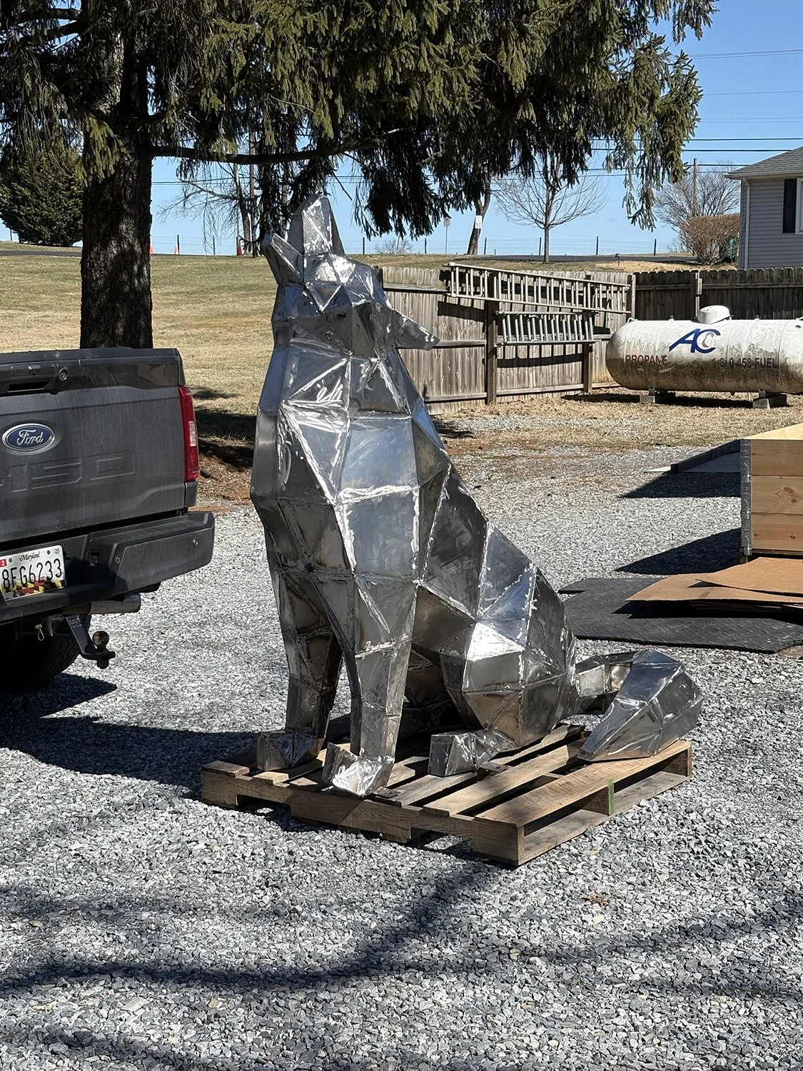 Koda the Wolf waiting to be sandblasted