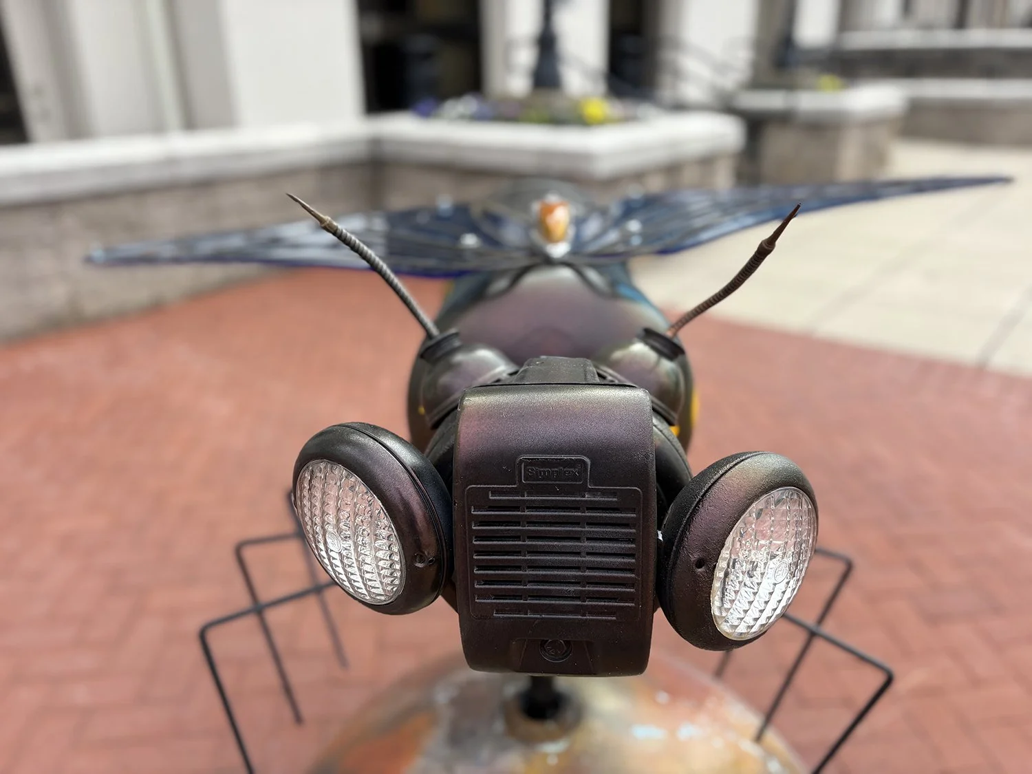 Anderson, SC Astra Apis 2026-2027