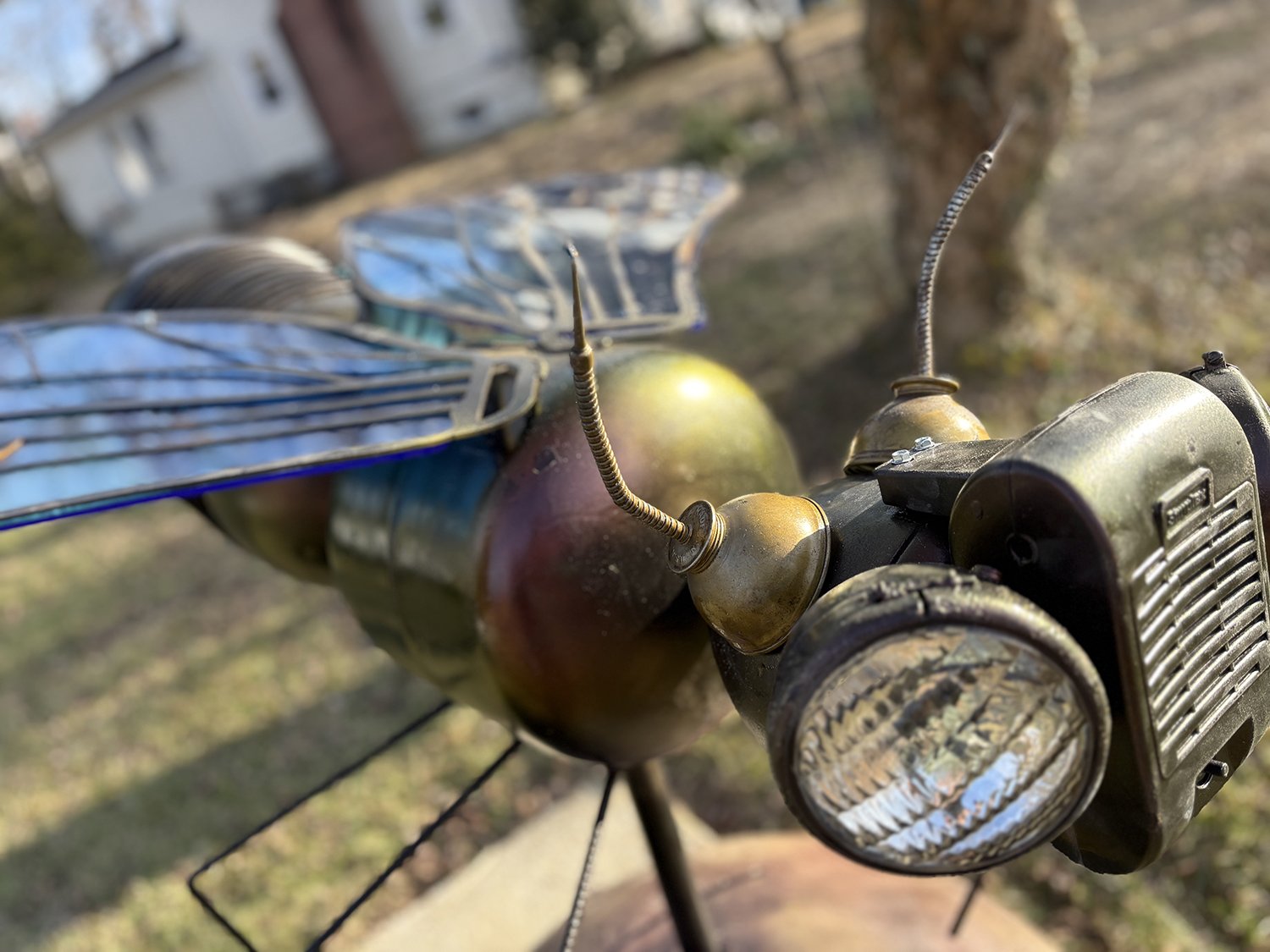 Lutherville, MD Astra Apis 2026-2027