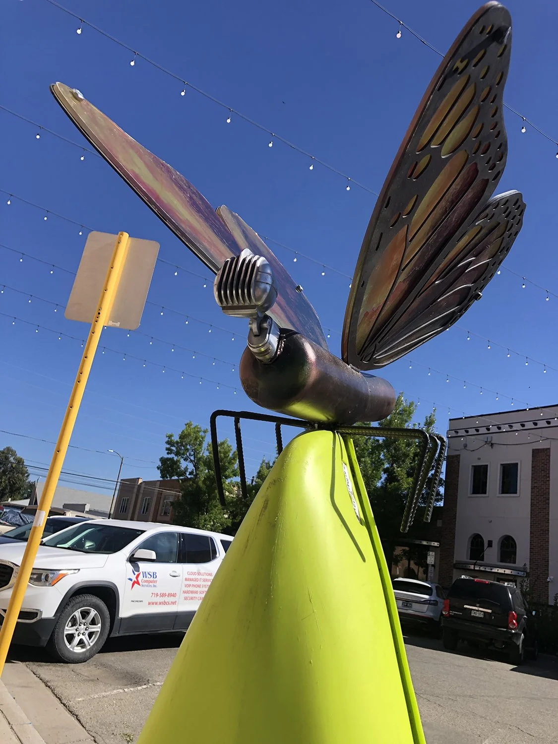 Pollinator Alamosa, CO 1.jpg