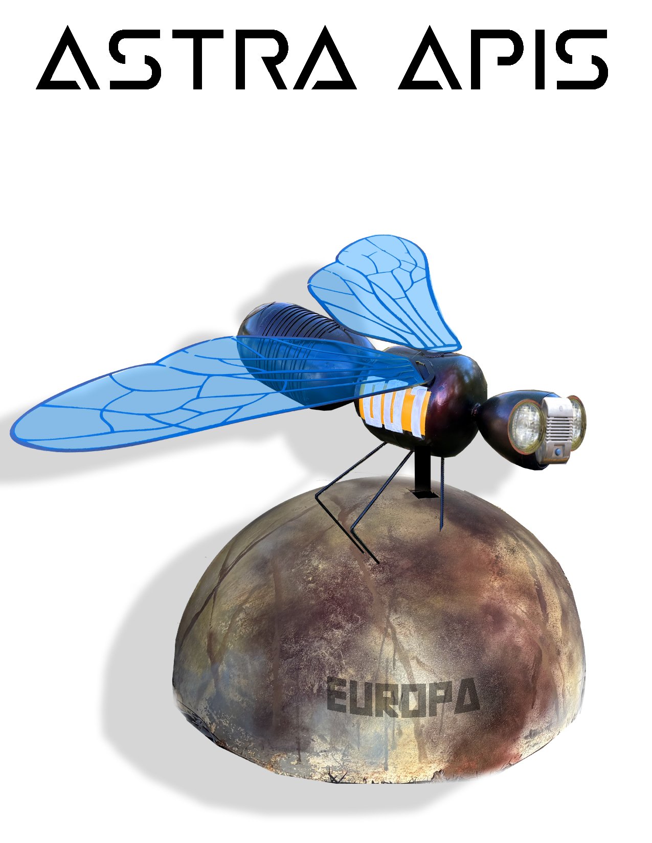 Kirk Seese Astra Apis