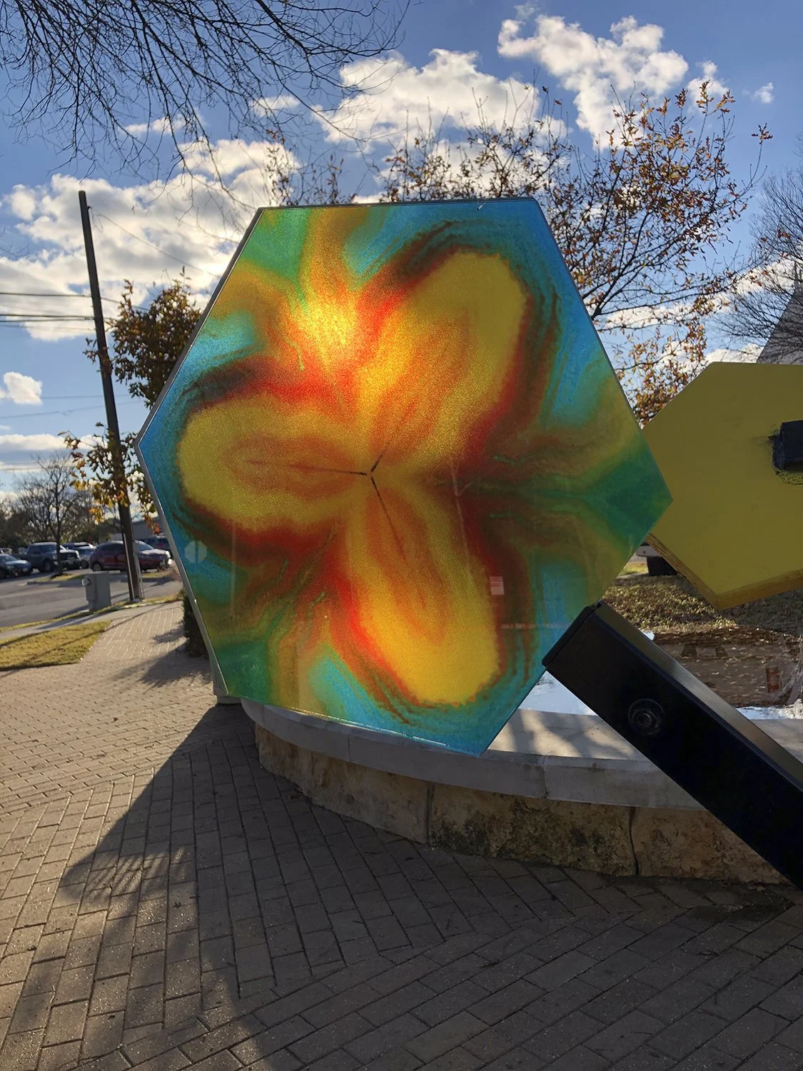 Tree Branches Georgetown TX 03 2021.jpg