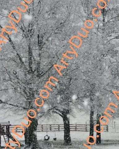 Calming Snow