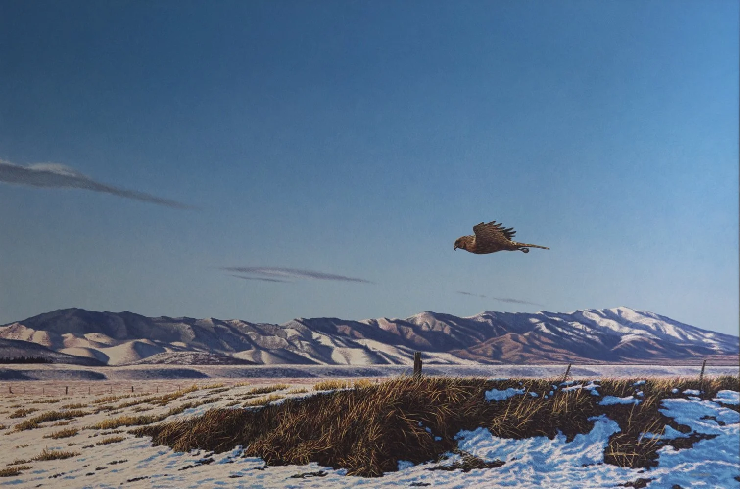 Hawkeye, 2000