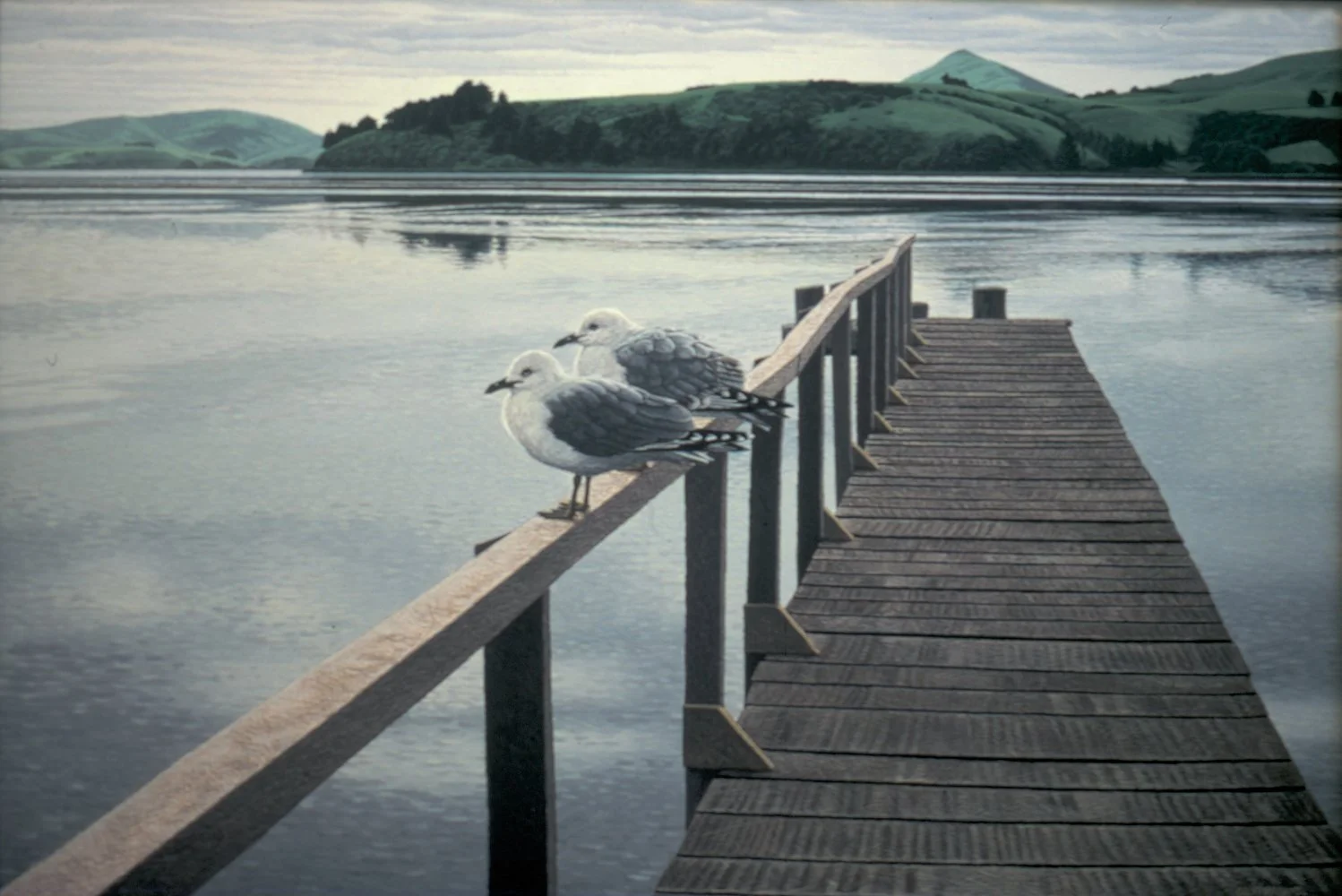 Two Gulls at St Leonards, 1995