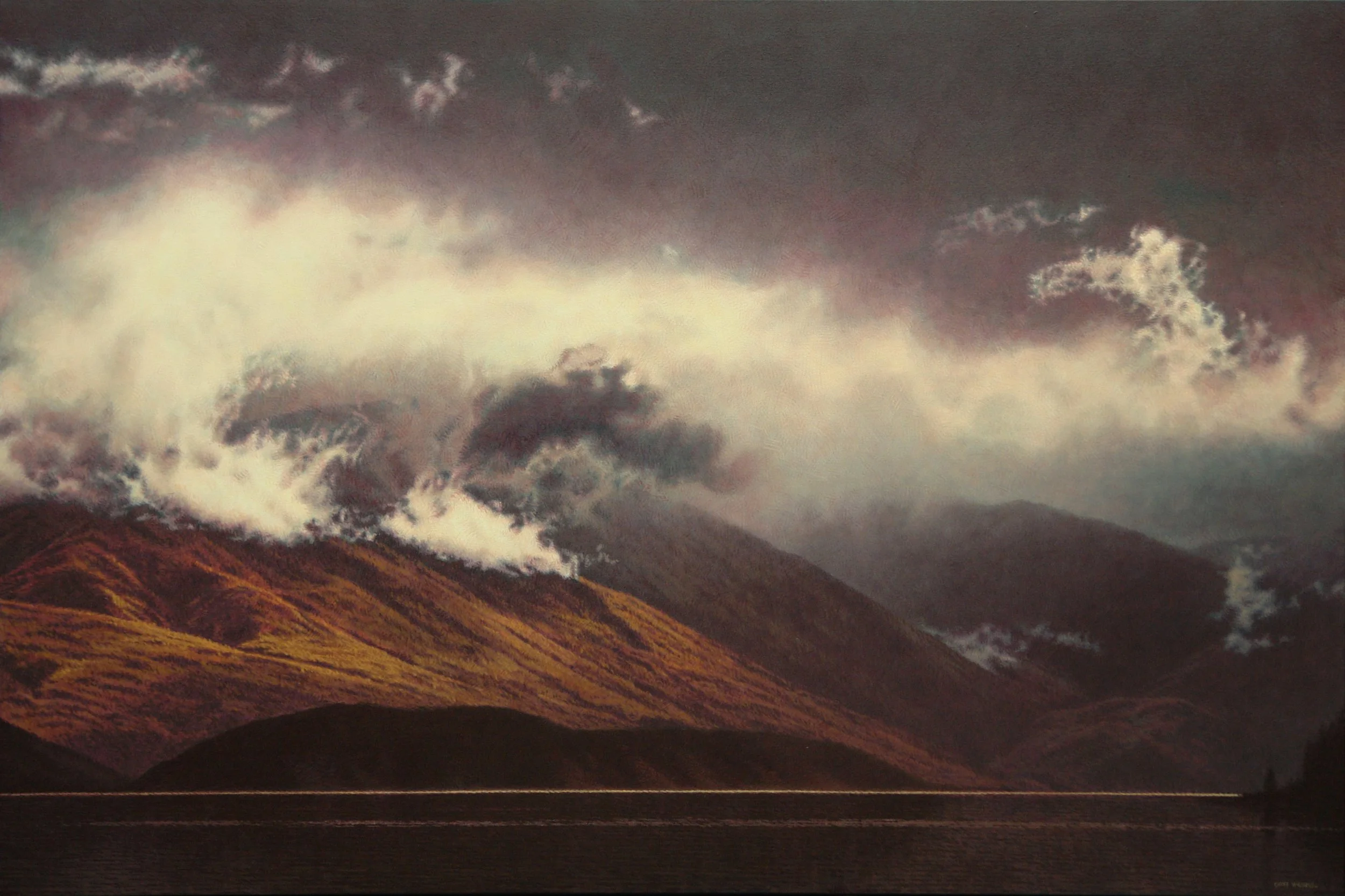 Hard Rains Clearing, Wanaka 2015