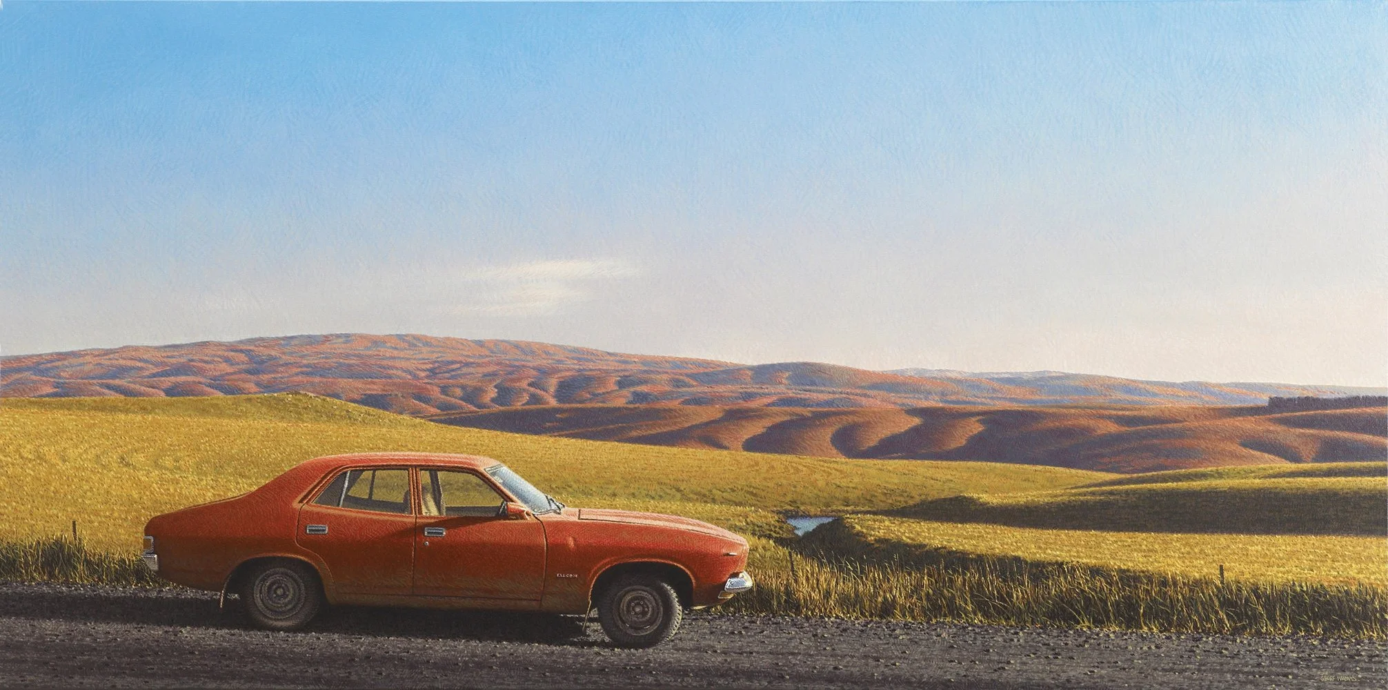 Falcon on the road to Lake Mahinerangi, 2014