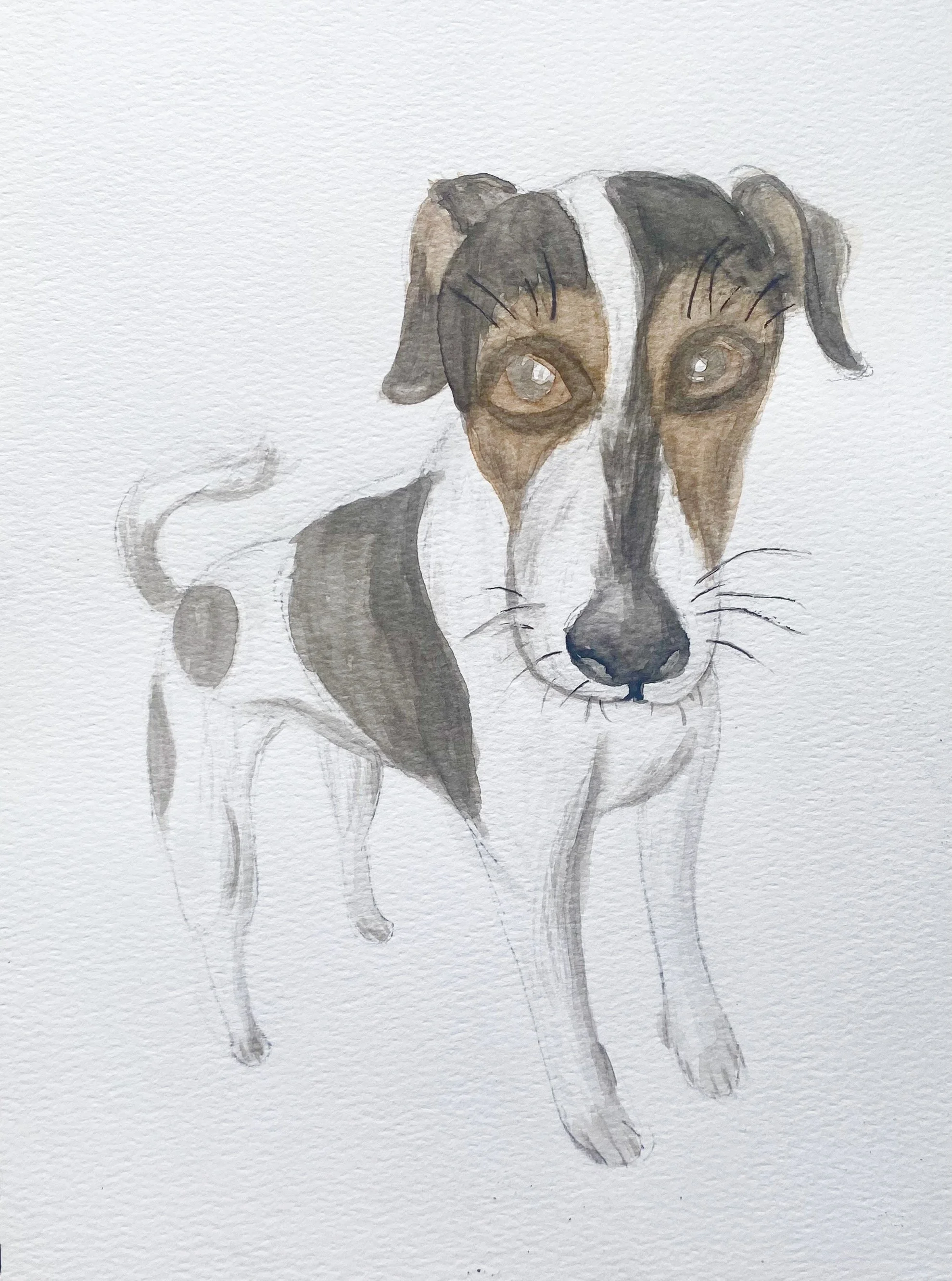 Portrait of Bauer - 7" x 10", watercolour. 2026