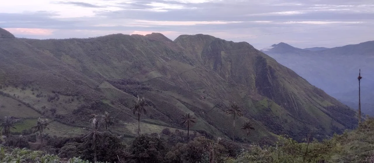 Paisaje montañoso del cerro Cangazambi con vegetación verde y palmeras altas, cielo nublado y colinas en el fondo.