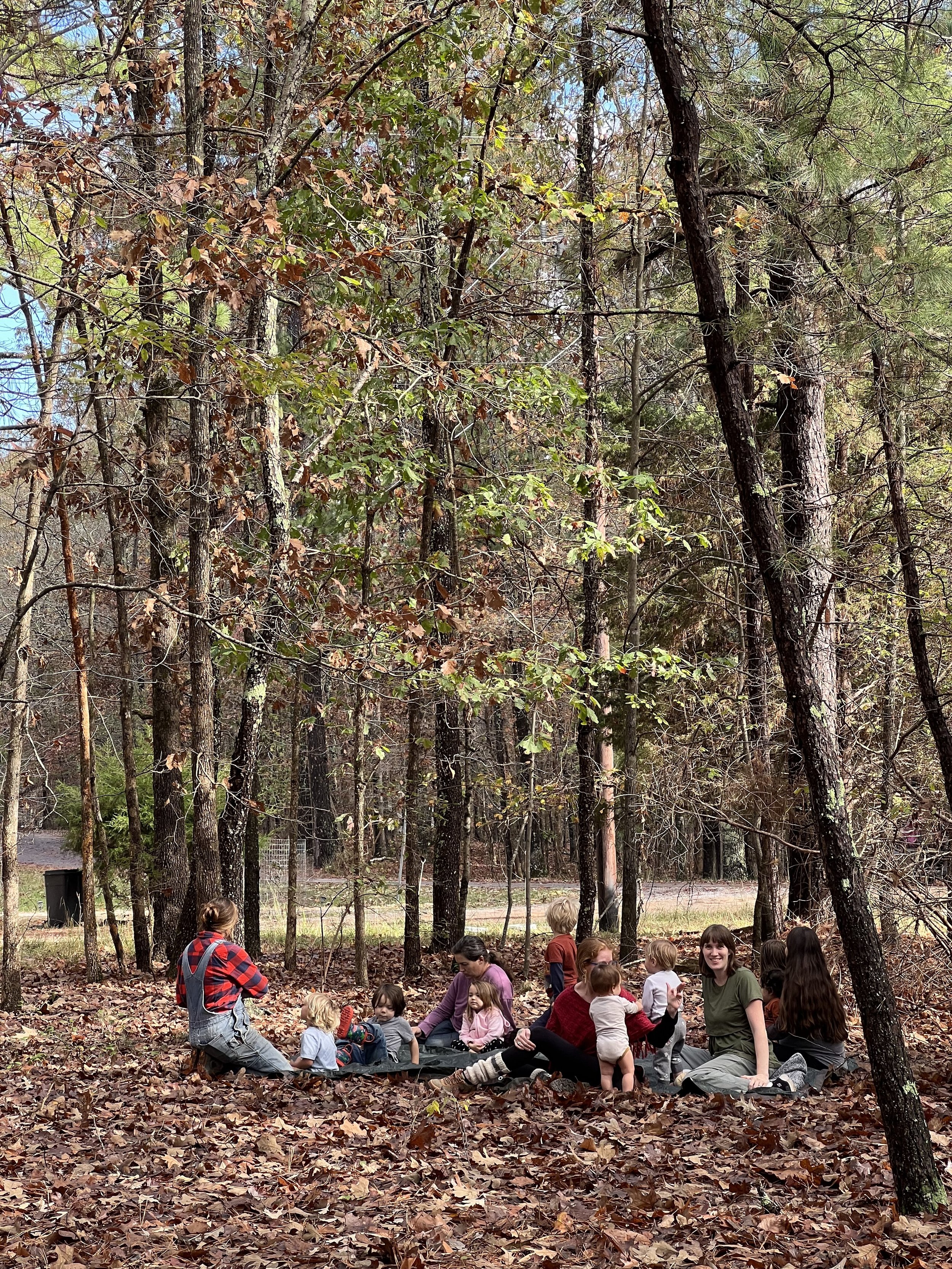 A group of children and adults sitting on the ground in a forest surrounded by trees with autumn leaves. They appear to be in a circle, engaged in outdoor activities amid fallen leaves.