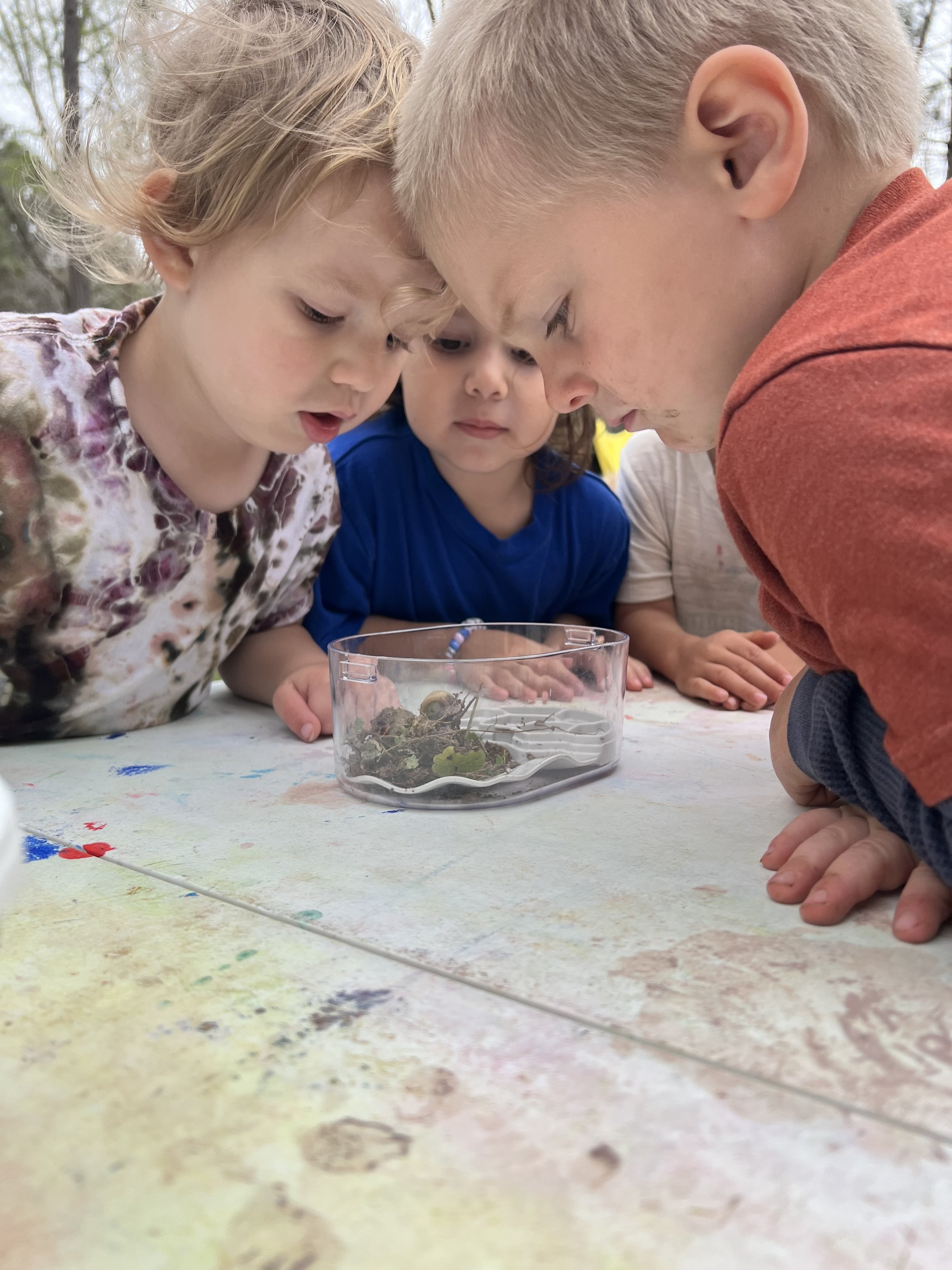 Children observing a small container with foliage on a table outdoors.