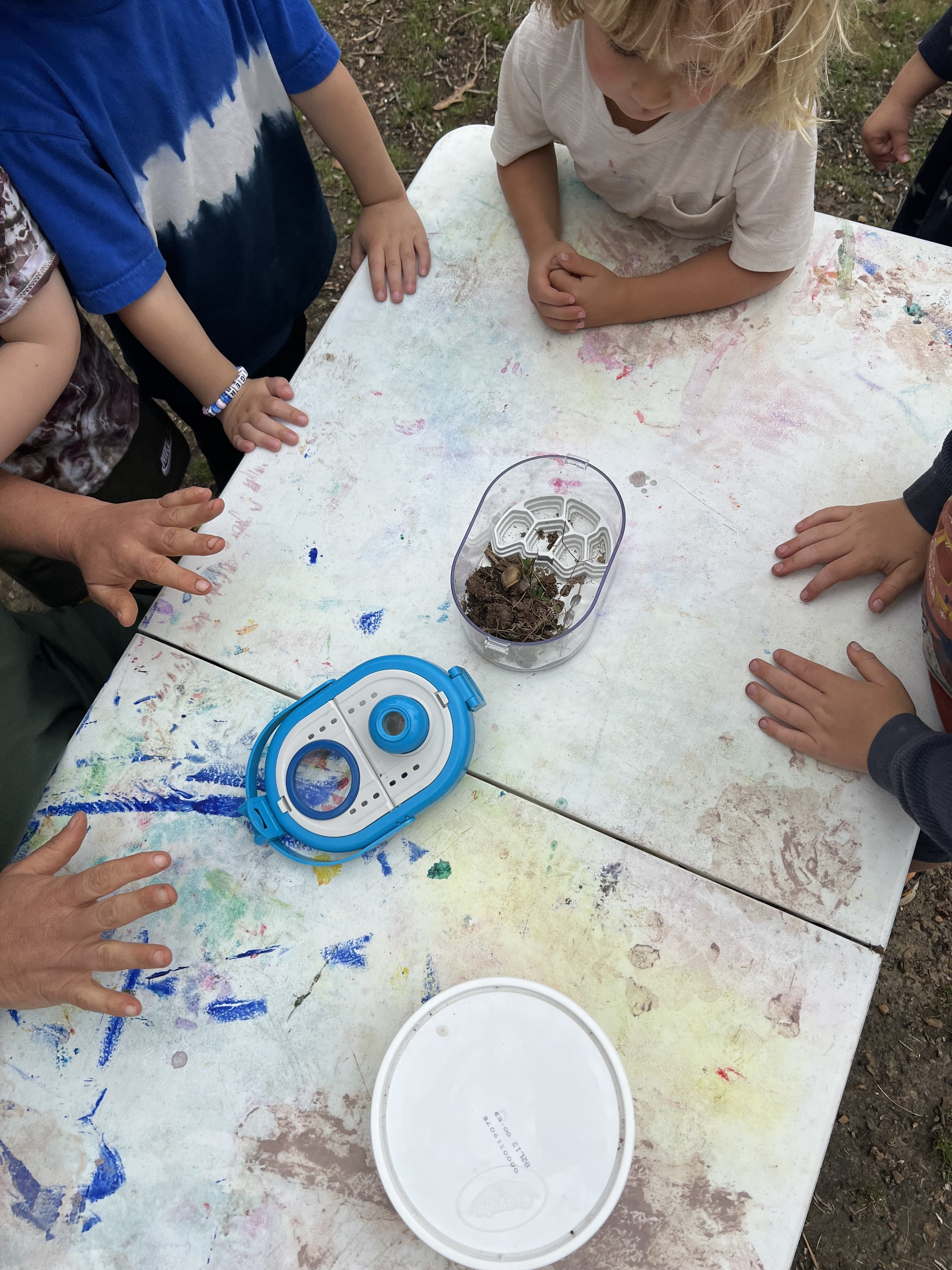 Children gathered around a table looking at a plastic container with small objects inside, possibly bugs or nature items. The table is covered in colorful paint stains.
