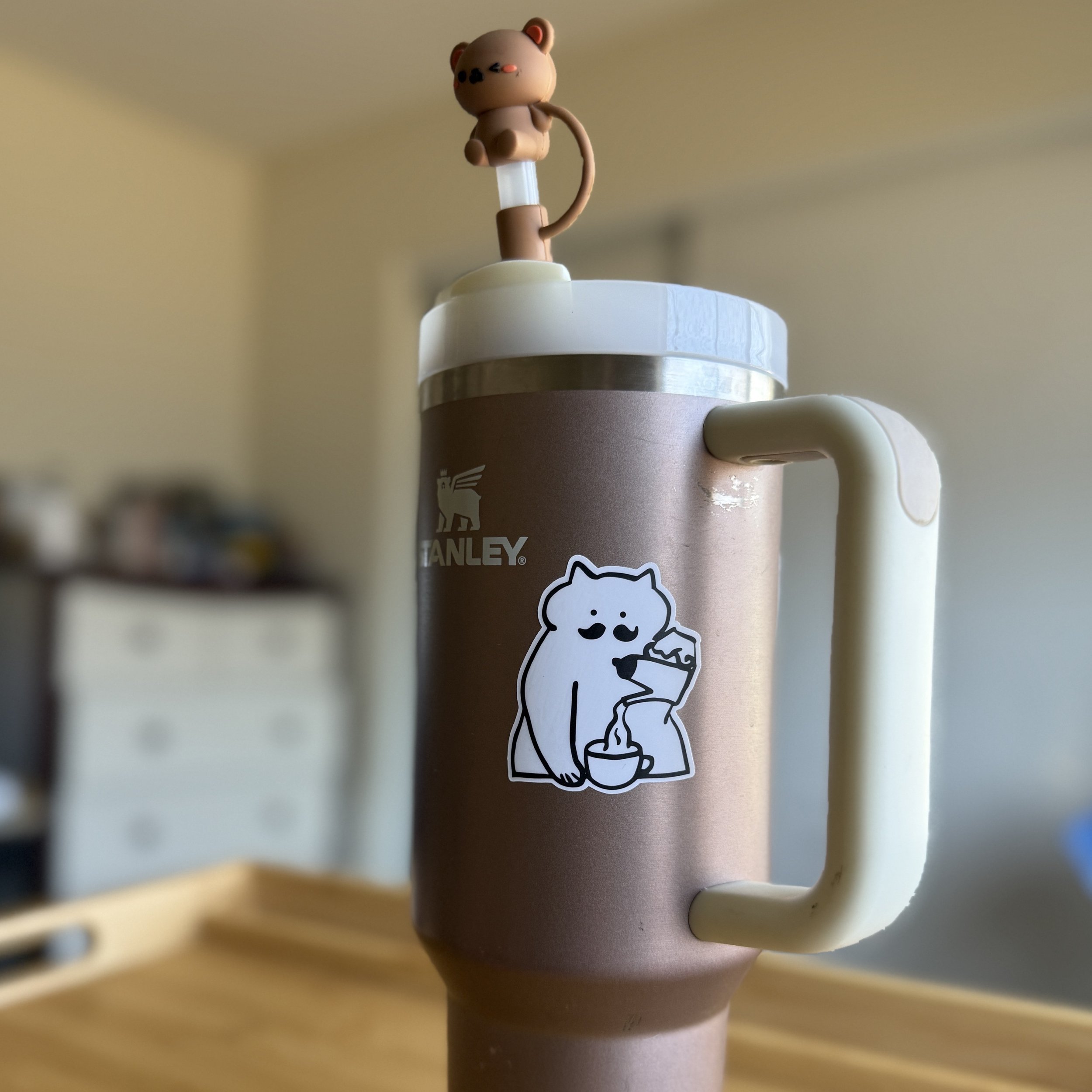 mustache cat stanley.jpeg